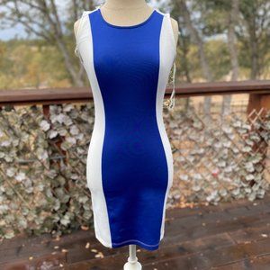 Fashion Dazzle Blue & White Dress